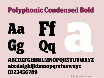 Polyphonic Condensed Bold Version 1.000;PS 001.000;hotconv 1.0.88;makeotf.lib2.5.64775图片样张