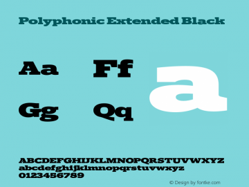 Polyphonic Extended Black Version 1.000;PS 001.000;hotconv 1.0.88;makeotf.lib2.5.64775图片样张