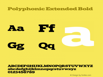 Polyphonic Extended Bold Version 1.000;PS 001.000;hotconv 1.0.88;makeotf.lib2.5.64775图片样张