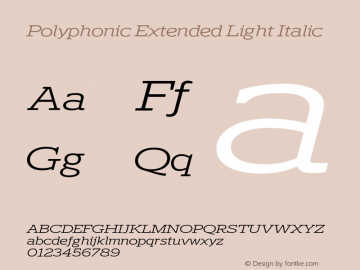 Polyphonic Extended Light Italic Version 1.000;PS 001.000;hotconv 1.0.88;makeotf.lib2.5.64775图片样张