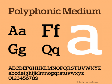 Polyphonic Medium Version 1.000;PS 001.000;hotconv 1.0.88;makeotf.lib2.5.64775图片样张