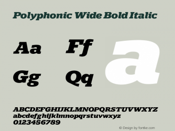 Polyphonic Wide Bold Italic Version 1.000;PS 001.000;hotconv 1.0.88;makeotf.lib2.5.64775图片样张