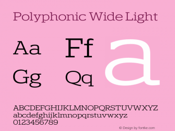 Polyphonic Wide Light Version 1.000;PS 001.000;hotconv 1.0.88;makeotf.lib2.5.64775图片样张
