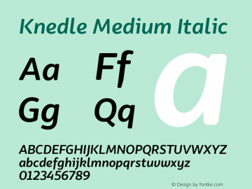 Knedle Medium Italic Version 0.201;FEAKit 1.0图片样张