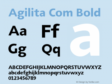 Agilita Com Bold Version 1.02图片样张