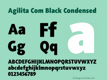 Agilita Com Black Condensed Version 1.02图片样张