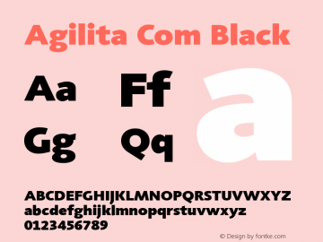 Agilita Com Black Version 1.02图片样张