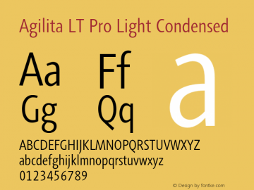 AgilitaLTPro-LightCond Version 1.01图片样张