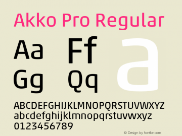 Akko Pro Regular Version 1.00图片样张