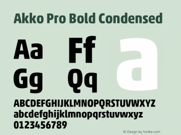 Akko Pro Bold Condensed Version 1.00图片样张