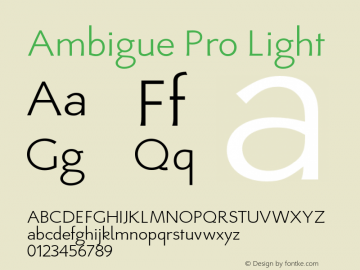 AmbiguePro-Light Version 1.00图片样张