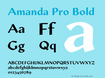 AmandaPro-Bold Version 1.00; 2007图片样张