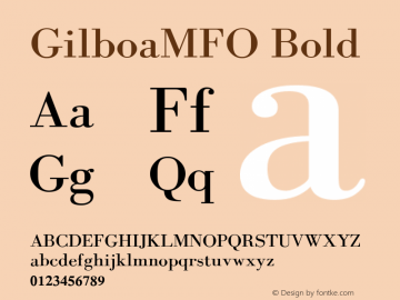 GilboaMFO Bold 14/8/2003图片样张