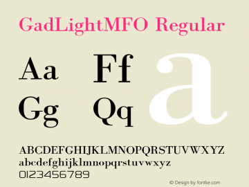 GadLightMFO 1/29/04图片样张