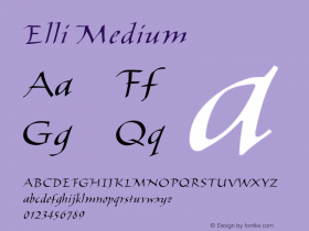 Elli Medium Version 001.000 Font Sample