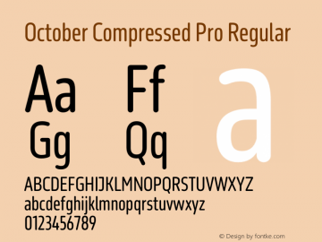 October Comp Pro Reg Version 1.0; 2016 | w-rip DC20161215图片样张