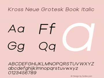 Kross Neue Grotesk Book Italic Version 1.000图片样张