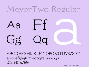 MeyerTwo Regular 001.000图片样张