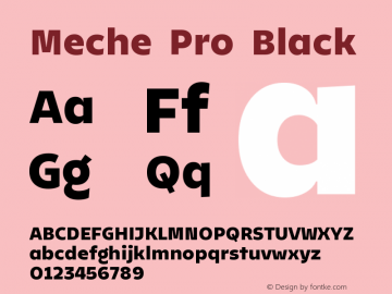 Meche Pro Black Version 1.000;hotconv 1.0.109;makeotfexe 2.5.65596图片样张