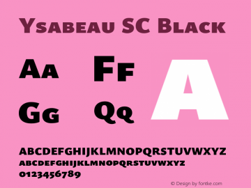 Ysabeau SC Black Version 0.025;FEAKit 1.0图片样张