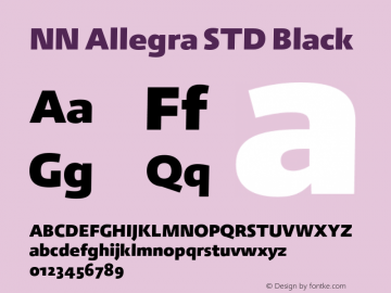 NN Allegra STD Black Version 2.006图片样张