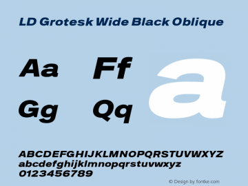 LD Grotesk Wide Black Oblique Version 6.002图片样张