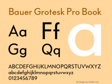 Bauer Grotesk Pro Book Version 7.700, build 1040, FoPs, FL 5.04图片样张