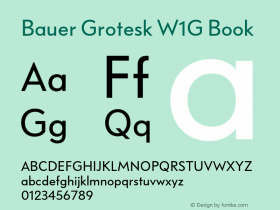 Bauer Grotesk W1G Book Version 7.700, build 1040, FoPs, FL 5.04图片样张