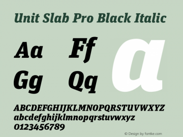 Unit Slab Pro Black Italic Version 7.600, build 1027, FoPs, FL 5.04图片样张