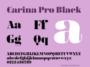 Carina Pro Black Version 7.504; 2016; Build 1020图片样张