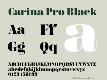 Carina Pro Black Version 7.504; 2016; Build 1022图片样张