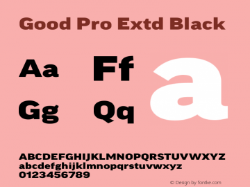 Good Pro Extd Black Version 7.60图片样张