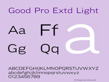 Good Pro Extd Light Version 7.60图片样张
