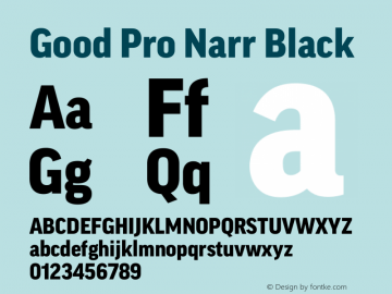 Good Pro Narr Black Version 7.60图片样张