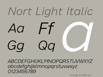 Nort Light Italic Version 7.70图片样张