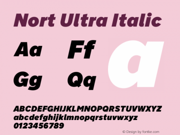 Nort Ultra Italic Version 7.70图片样张