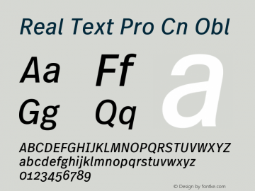 Real Text Pro Cn Obl Version 1.00图片样张