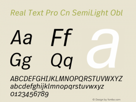 Real Text Pro Cn SemiLight Obl Version 1.00图片样张