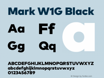 Mark W1G Black Version 1.00, build 8, g2.6.4 b1272, s3图片样张