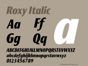 Roxy Italic Version 001.000图片样张