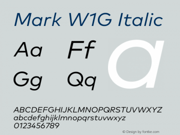 Mark W1G Italic Version 1.00, build 8, g2.6.4 b1272, s3图片样张