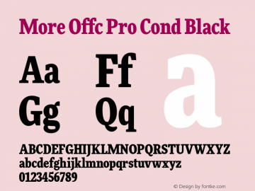 More Offc Pro Cond Black Version 7.504; 2010; Build 1021图片样张
