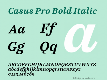 Casus Pro Bold Italic Version 7.504; 2016; Build 1026图片样张