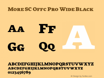 More SC Offc Pro Wide Black Version 7.504; 2010; Build 1021图片样张