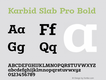 Karbid Slab Pro Bold Version 7.60图片样张