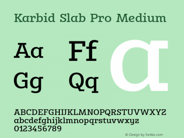 Karbid Slab Pro Medium Version 7.60图片样张