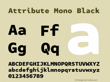 Attribute Mono Black Version 7.601, build 1028, FoPs, FL 5.04图片样张