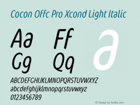 Cocon Offc Pro Xcond Light Ita Version 7.504; 2009; Build 1003图片样张