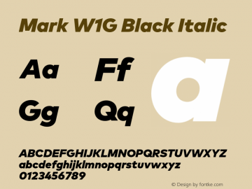 Mark W1G Black Italic Version 1.00, build 8, g2.6.4 b1272, s3图片样张