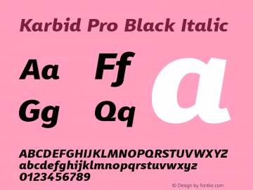 Karbid Pro Black Italic Version 7.60图片样张